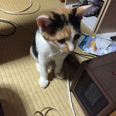 の写真