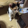 の写真