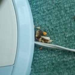 隠すのヘタかな？