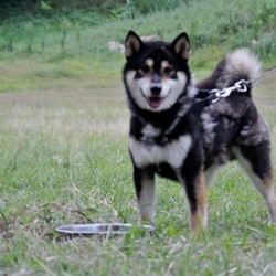 今日（9月2日）のラキ君