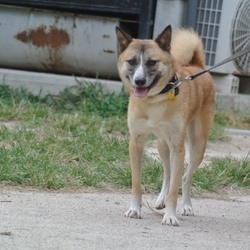 今日（9月2日）のルフィー