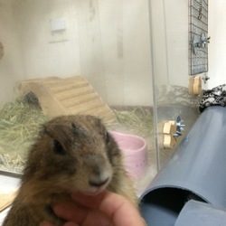 「ニアミス？」サムネイル3