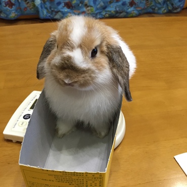 体重測定