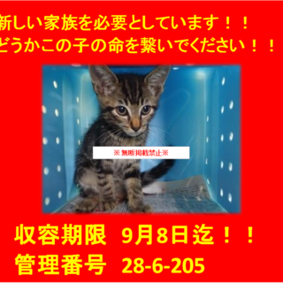 里親決定！！お迎えありがとうございました(^^♪