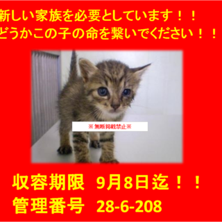 里親決定！！お迎えありがとうございました(^^♪