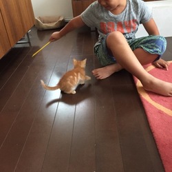 はじめまして！