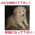 ありがとうございました!!