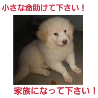 ありがとうございました!!