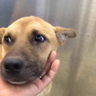 元気で人懐っこい男の子です。