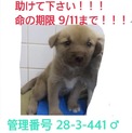 家族が出来ました！