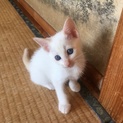 白ちゃん♡
