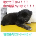 家族が出来ました！