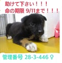 家族が出来ました！