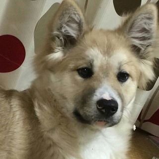 心優しい方お願いします。