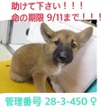 家族が出来ました！