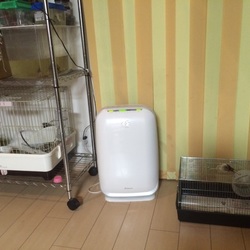 「ゴルハムちゃん」サムネイル2