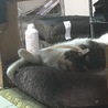 の写真