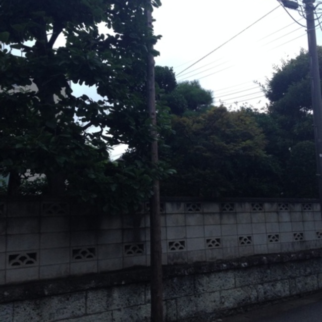 トイプのカバー写真