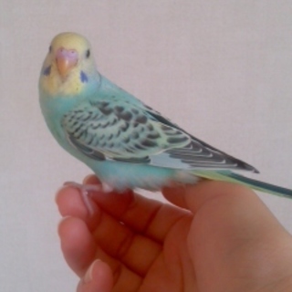 たくさんのご応募ありがとうございました