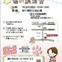 第２回猫ちゃんの譲渡会「カコガワcat」
