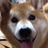 はが