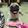 むぎ