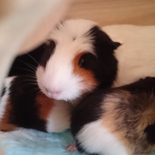 沢山のご応募ありがとうございました。