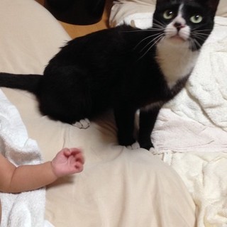 お問合せ頂きました、一時停止いたします。