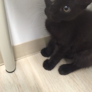 募集多数の為、一旦募集終了致します！ 