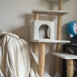 引き取っていただける際にもしよろしければ