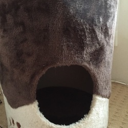 「引き取っていただける際にもしよろしければ」サムネイル2