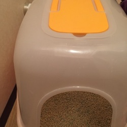 「引き取っていただける際にもしよろしければ」サムネイル3