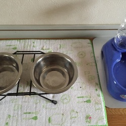 「引き取っていただける際に2」サムネイル3