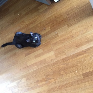 遠くからみたら小さい！