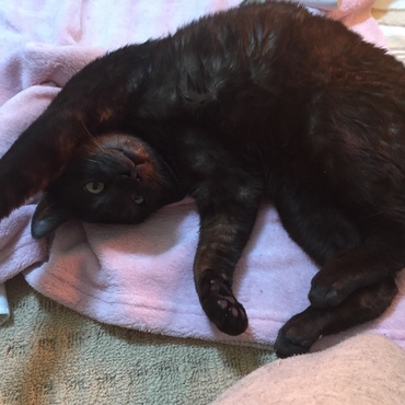 体操しまーす！