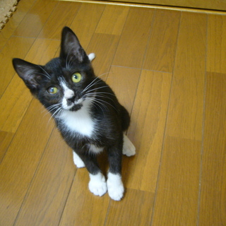 人が大好きで甘え上手な女の子です♪ 