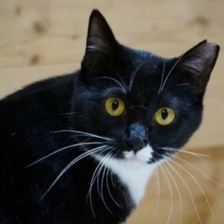 Vネックの胸元と白い足袋がオシャレな小柄な女の子♡