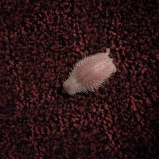 多数の応募ありがとうございました♪