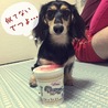の写真