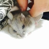 おねむねむ