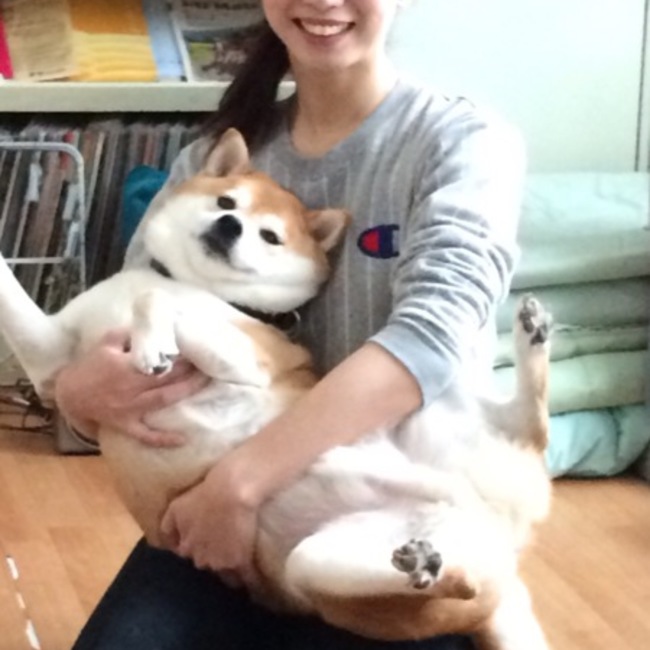まきんぐ のカバー写真