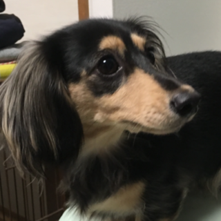 お申し出多数の為、一旦終了します。ありがとう。