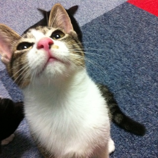 ありがとうございました❗️