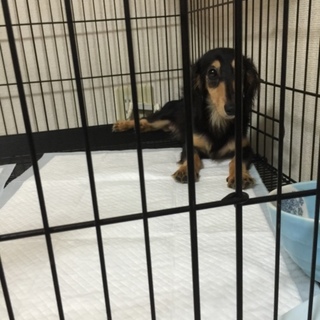 元気いっぱいの女の子♪