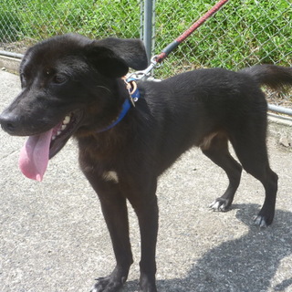 可愛い顔をした男の子