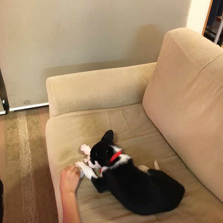 ビリーのカバー写真