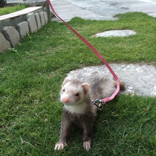 一旦募集とめてます