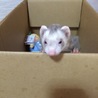 一旦募集とめてます サムネイル3