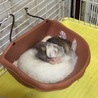 一旦募集とめてます サムネイル4