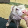 一旦募集とめてます サムネイル6